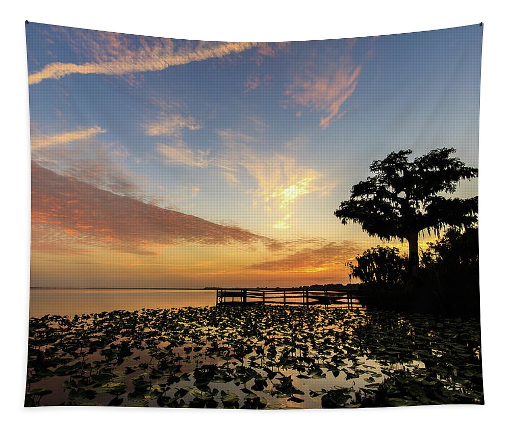 Florida Tapestry featuring the photograph Lake Sunrise #1 by Stefan Mazzola