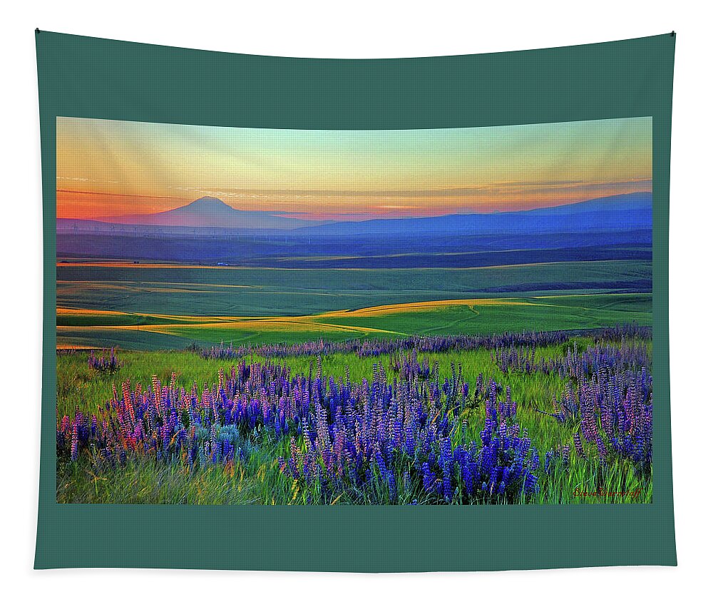 Last Light 3 Tapestry featuring the photograph Last Light 2 by Steve Warnstaff