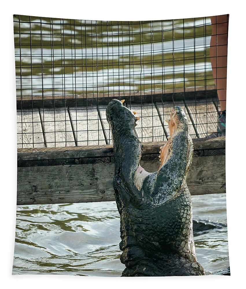 Alligator Tapestry featuring the photograph Leaping Lizard #1 by Travis Rogers