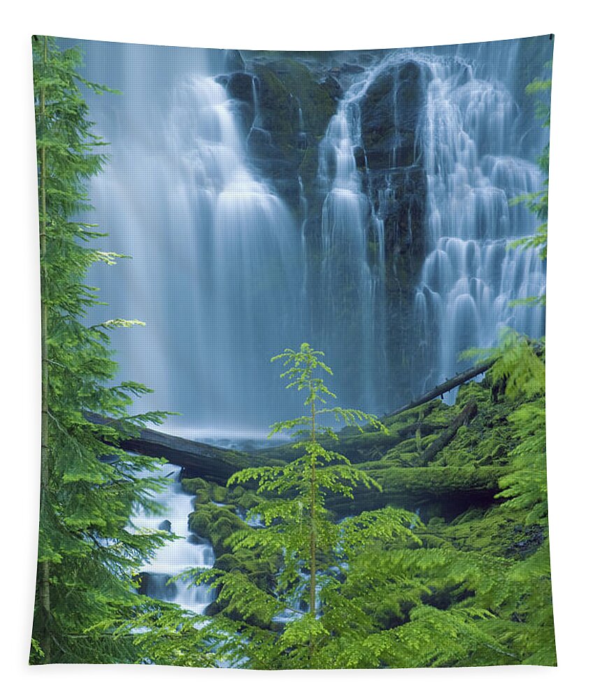 Amazing Tapestry featuring the photograph Lower Proxy Falls #1 by Greg Vaughn - Printscapes