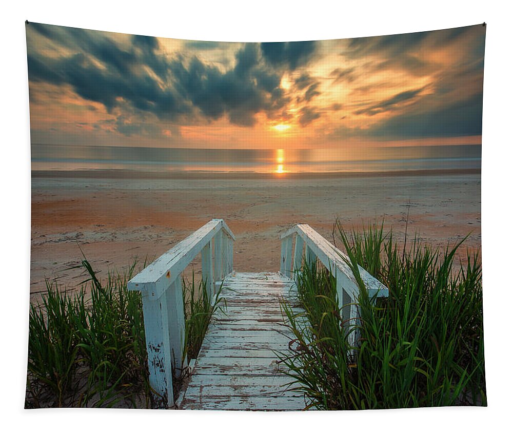 Florida Tapestry featuring the photograph Marineland Beach Path #1 by Stefan Mazzola
