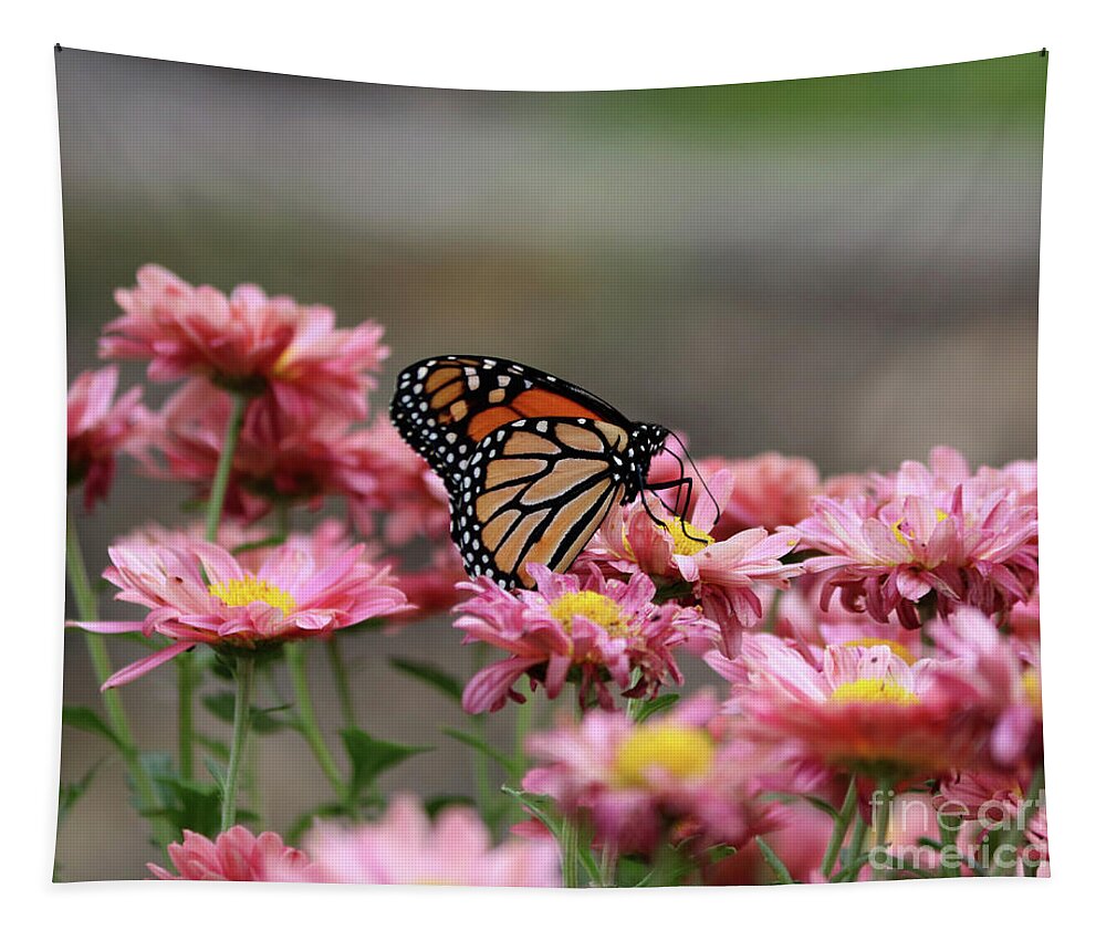 Monarch Butterfly Tapestry featuring the photograph Monarch Butterfly #1 by Lori Tordsen