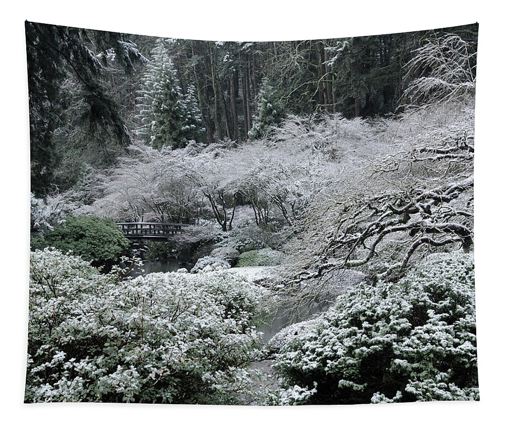  Tapestry featuring the photograph Morning Snow in the Garden #1 by Don Schwartz