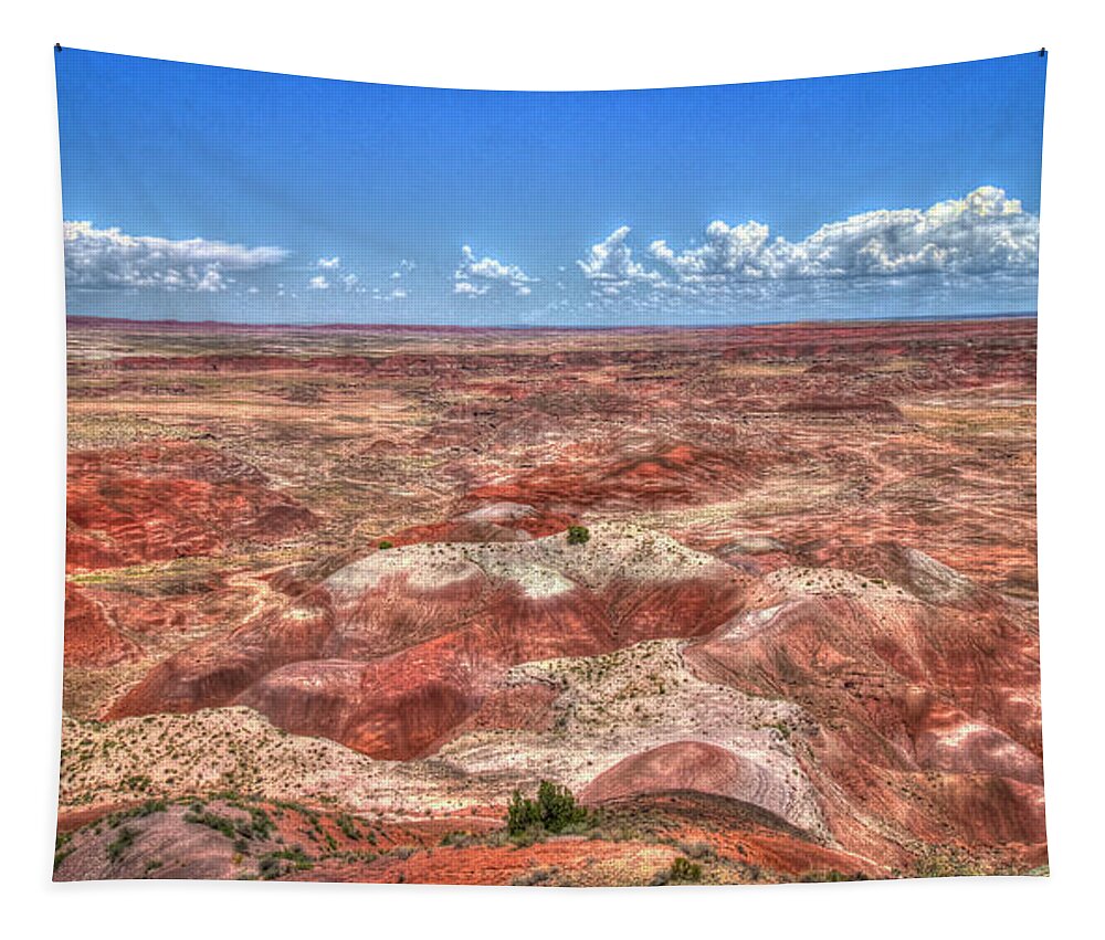 Reid Callaway Painted Desert Tapestry featuring the photograph Patchwork The Painted Desert Arizona Landscape Art by Reid Callaway
