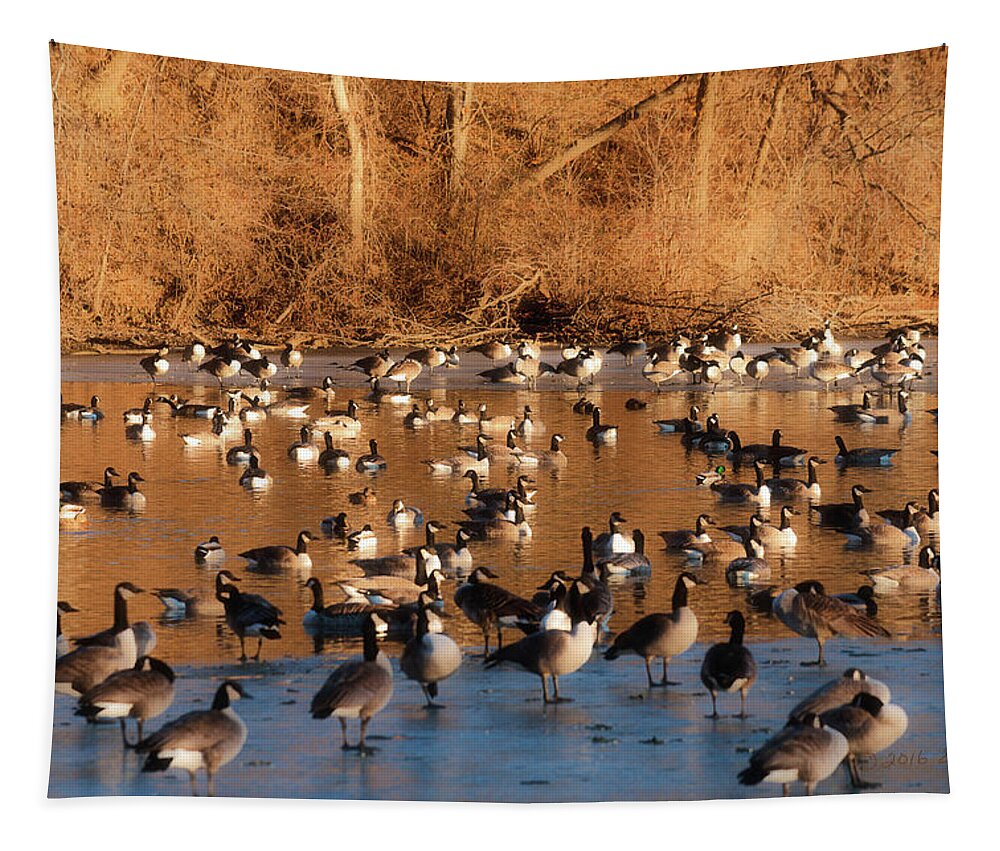 Winter Scene Tapestry featuring the photograph Open Water #1 by Ed Peterson