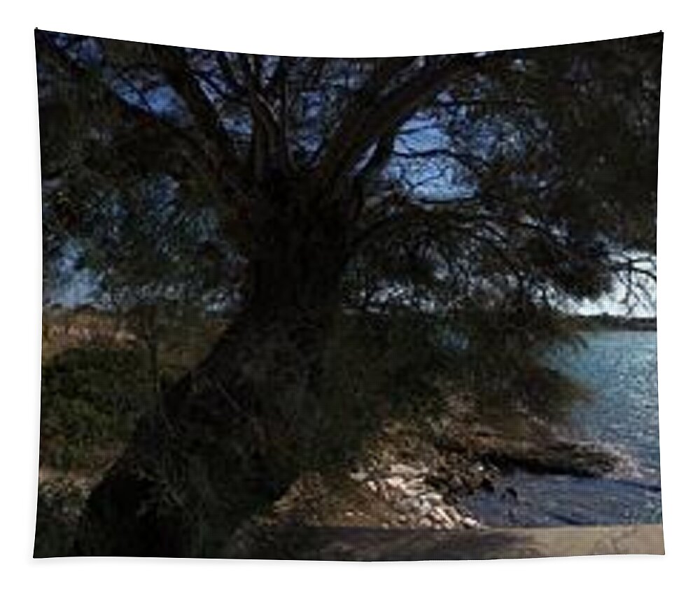Paros Tapestry featuring the photograph Paros Nature Island Greece #2 by Colette V Hera Guggenheim