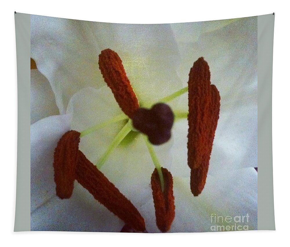 Flower Tapestry featuring the photograph Peek #1 by Denise Railey
