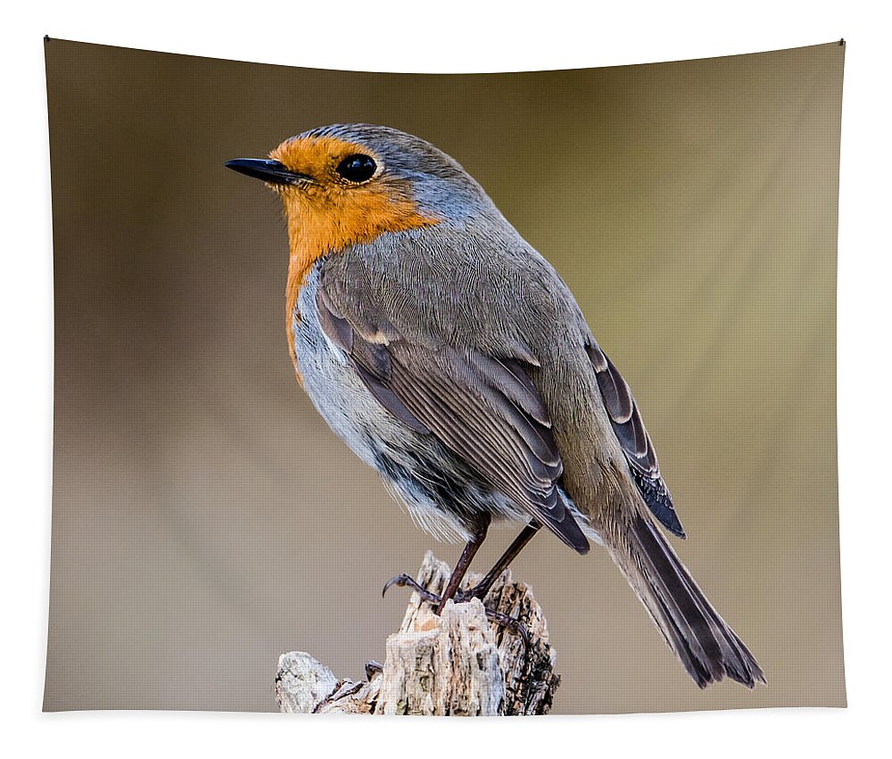 Perching Tapestry featuring the photograph Perching Robin by Torbjorn Swenelius