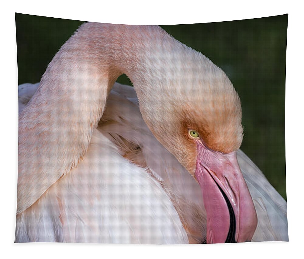 Pink Flamingo Tapestry featuring the photograph Pink Flamingo #2 by Saija Lehtonen