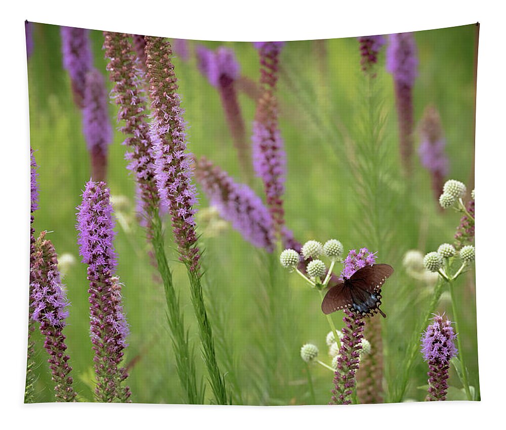 Wildflowers Tapestry featuring the photograph Prairie Blazing Star #2 by Susan Rissi Tregoning