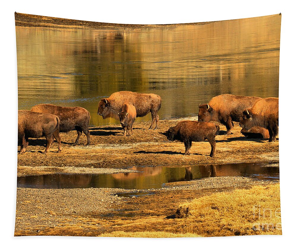 Bison Tapestry featuring the photograph Gathering To Cross The Yellowstone River by Adam Jewell