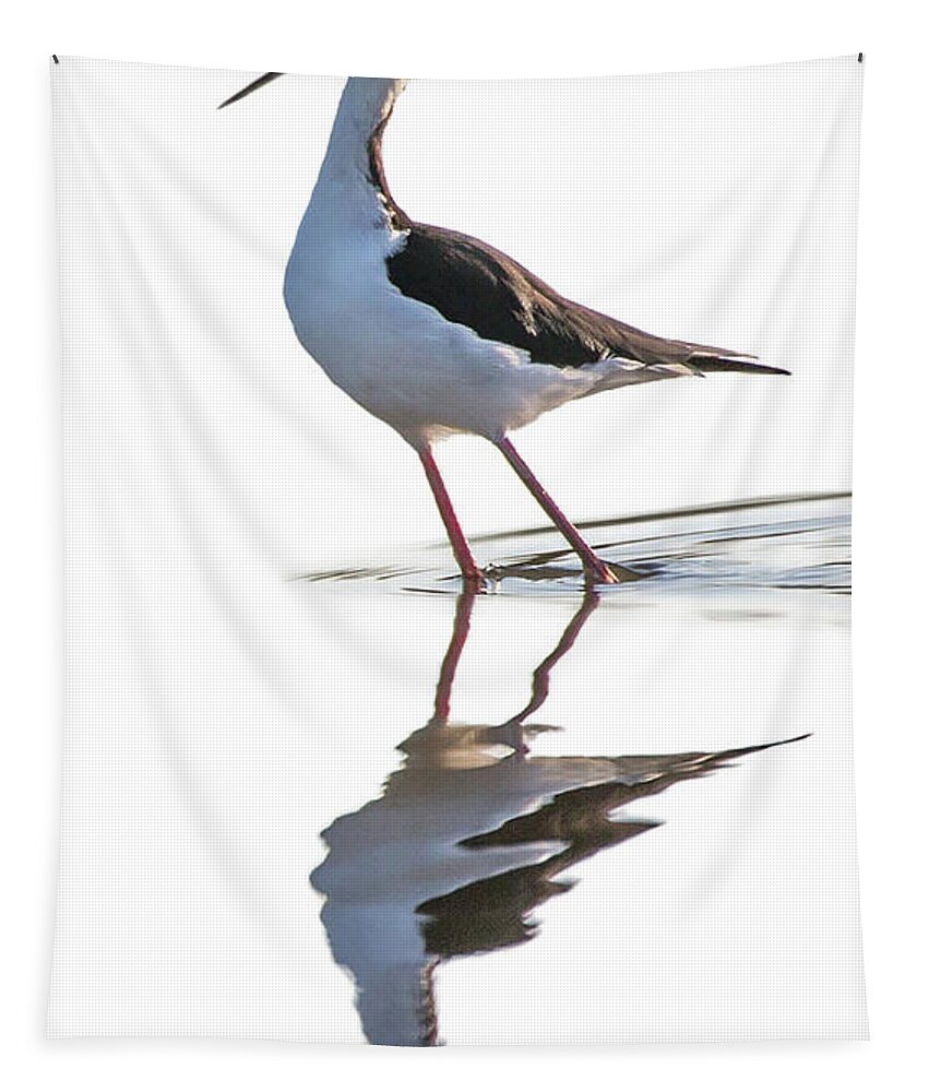 Black-necked-stilt Tapestry featuring the photograph Reflections #1 by Bruce Bonnett