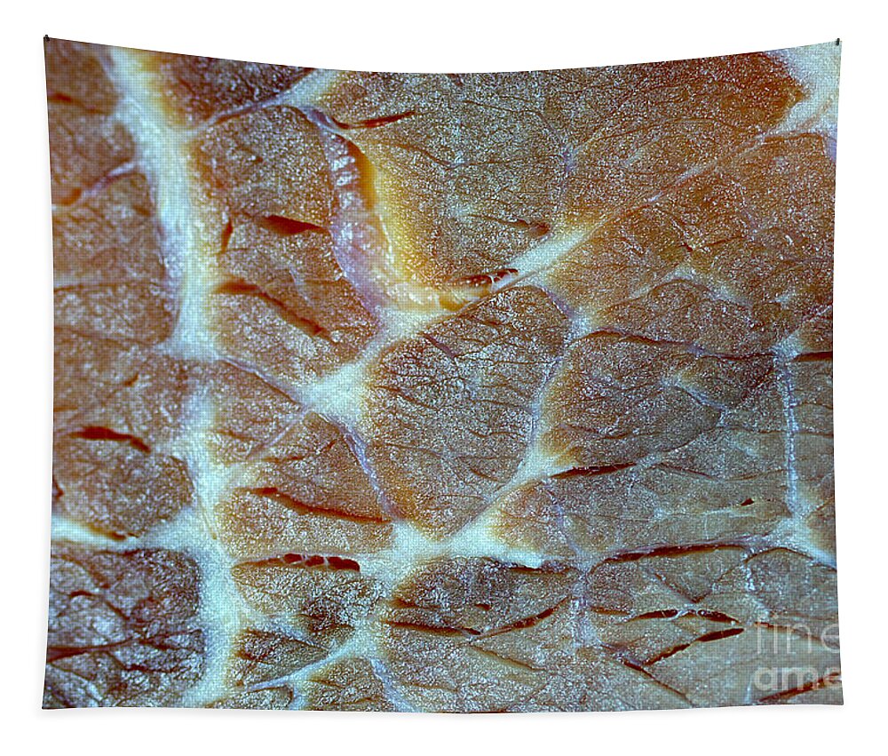 Science Tapestry featuring the photograph Roast Beef #1 by Scimat