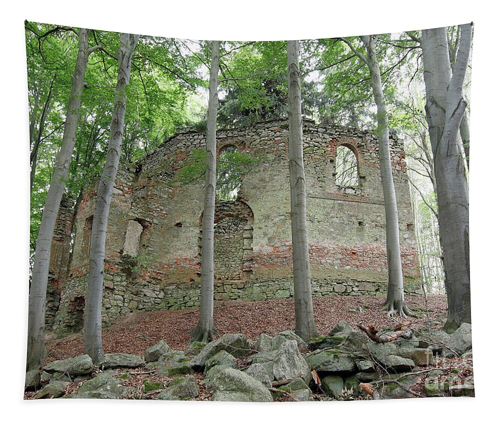 Ruins Tapestry featuring the photograph Ruins of the Baroque chapel of St. Mary Magdalene #1 by Michal Boubin