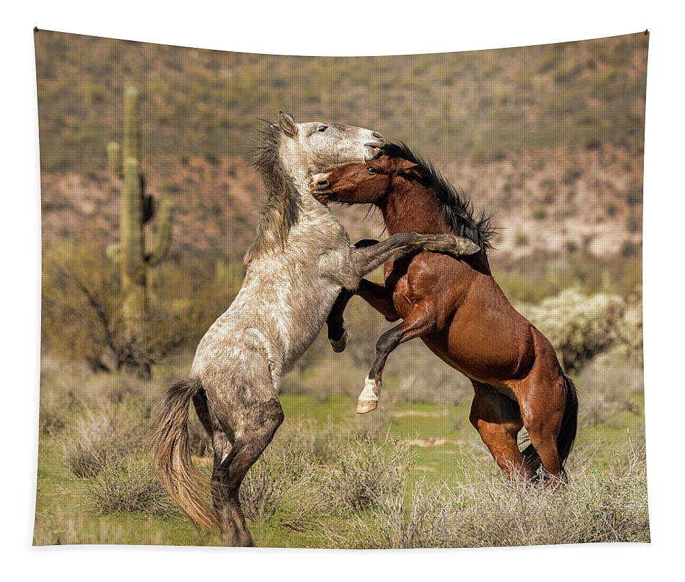 Wild Horses Tapestry featuring the photograph Shall We Dance #2 by Saija Lehtonen