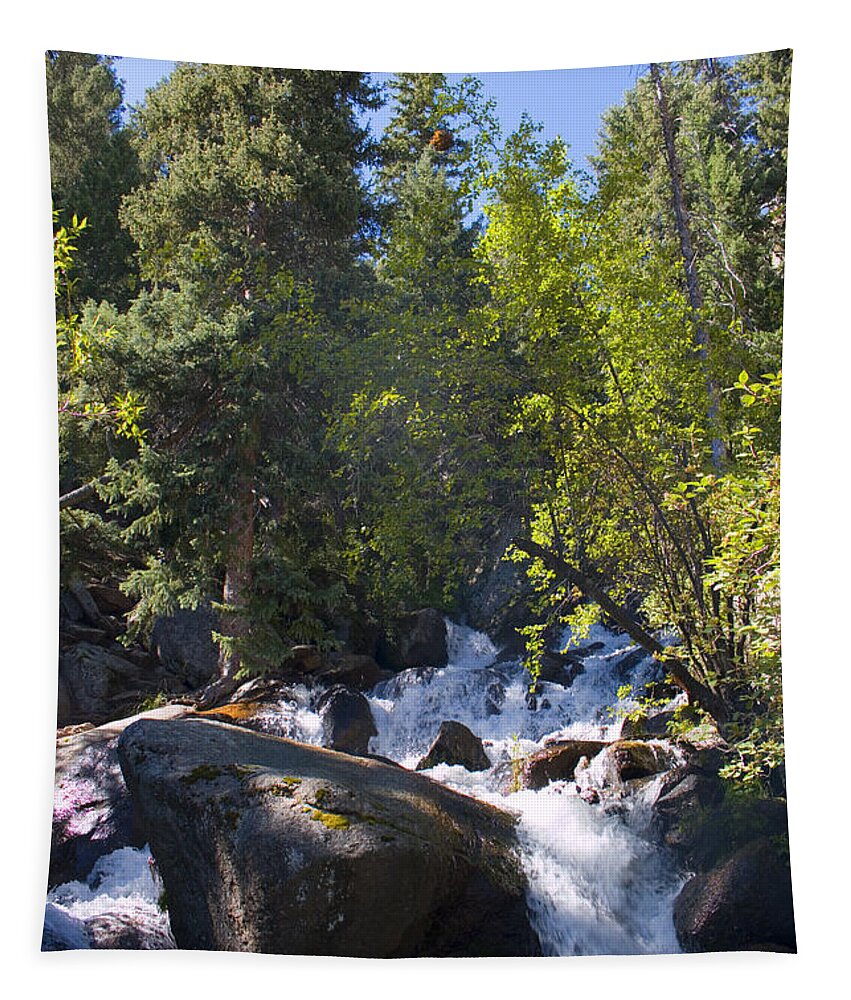 South Catamount Creek Tapestry featuring the photograph South Catamount Falls #1 by Steven Krull