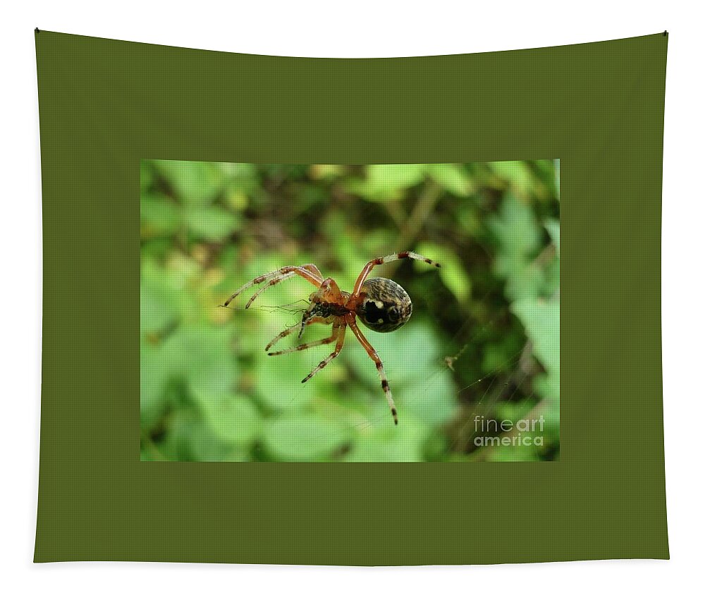 Spider Tapestry featuring the painting Spider by 'REA' Gallery