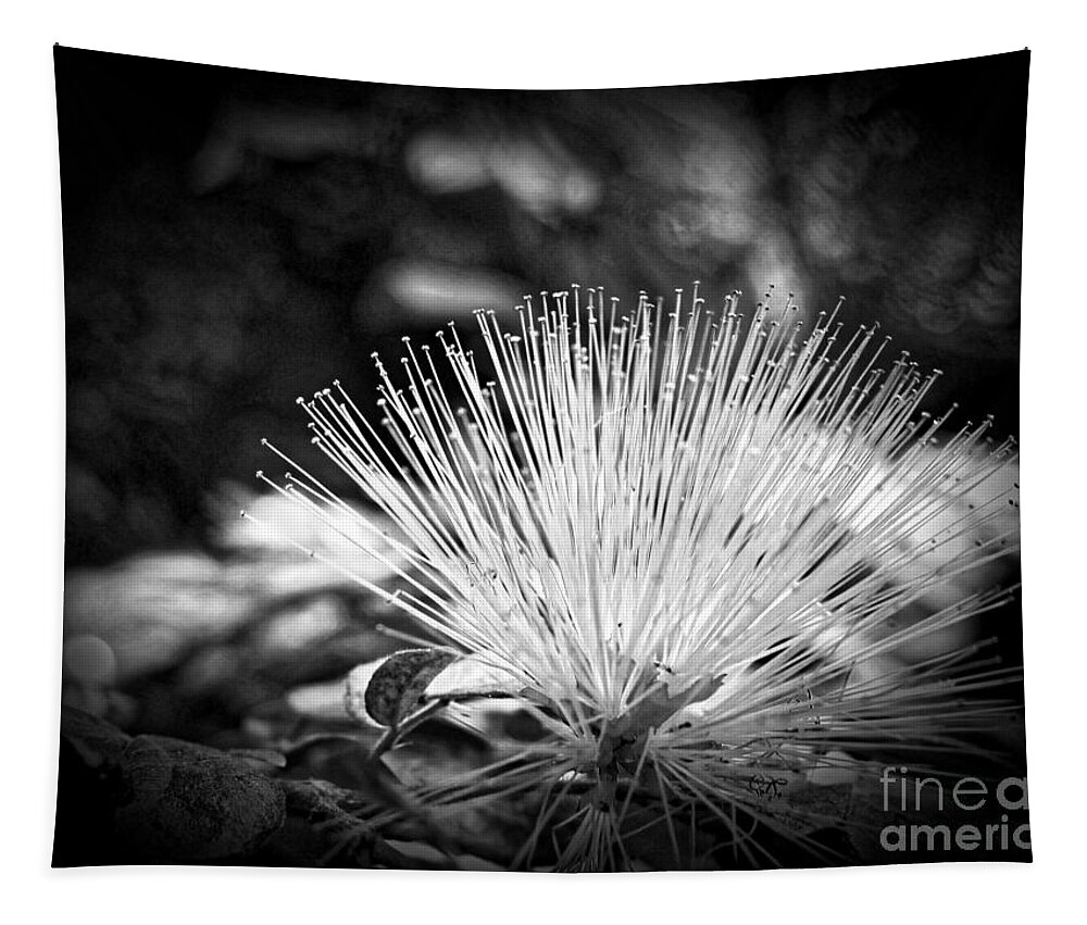 Flower Tapestry featuring the photograph Spiked by Onedayoneimage Photography