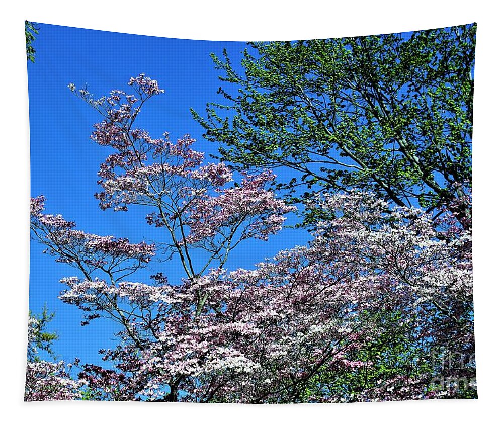 Flowers Tapestry featuring the photograph Springtime in Louisville by Merle Grenz
