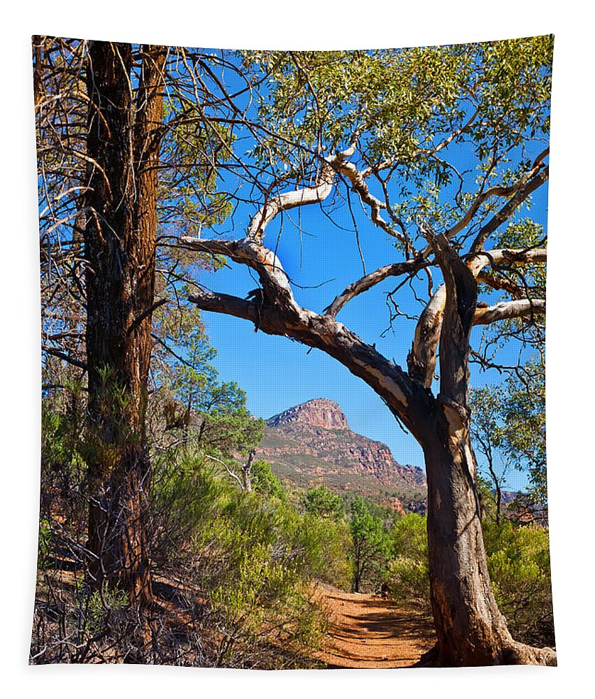 St Mary Peak Wilpena Pound Outback Landscape Landscapes South Australia Australian Tapestry featuring the photograph St Mary Peak Wilpena Pound #2 by Bill Robinson