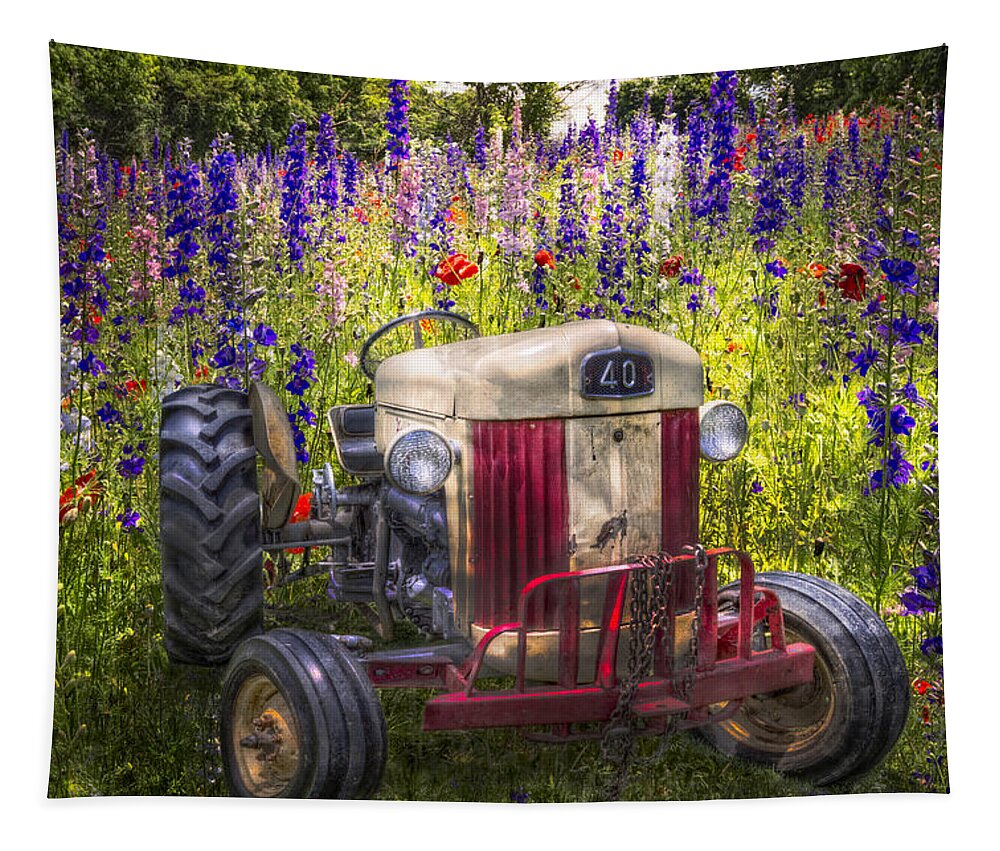 Appalachia Tapestry featuring the photograph Summer Fields #2 by Debra and Dave Vanderlaan