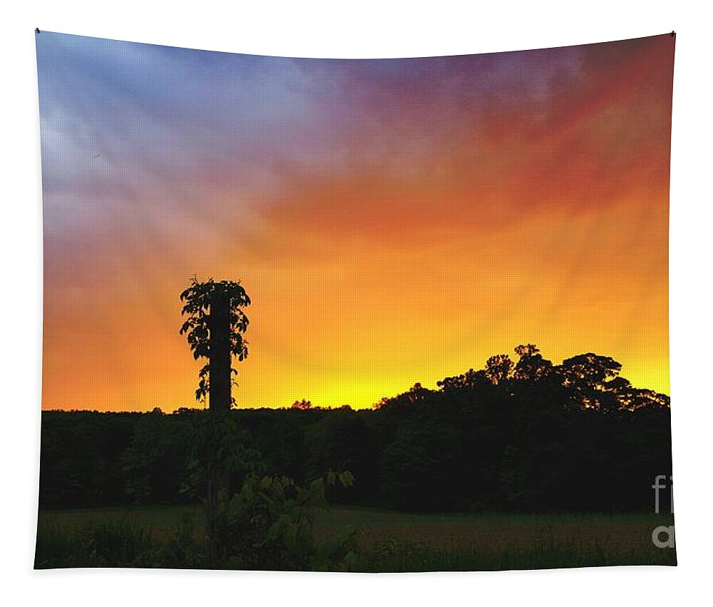 Sunset Tapestry featuring the photograph Sundown #1 by Dani McEvoy