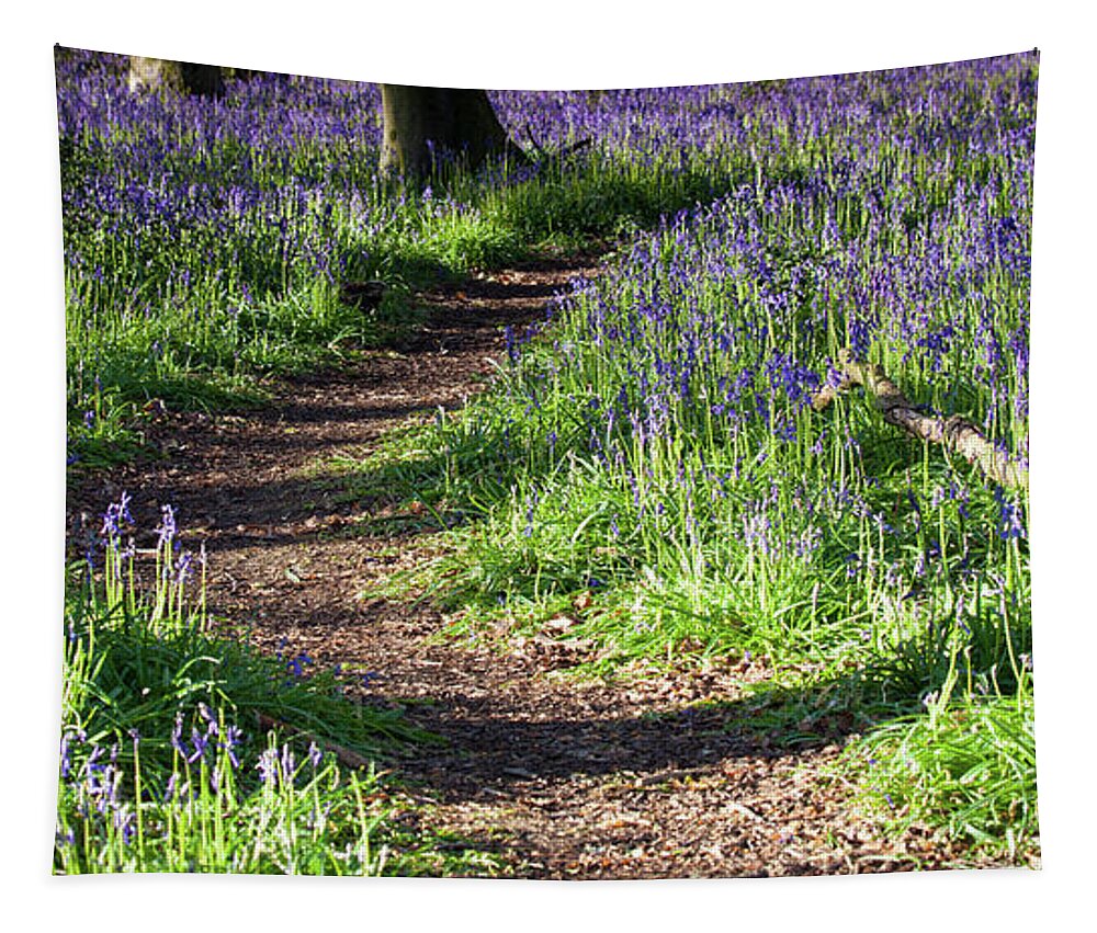 Norfolk Tapestry featuring the photograph Norfolk, England sunrise path through bluebell woods by Simon Bratt