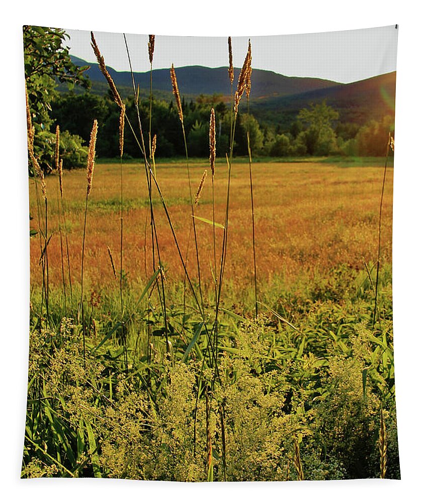 Sunset Tapestry featuring the photograph Sunset Field #2 by Doolittle Photography and Art