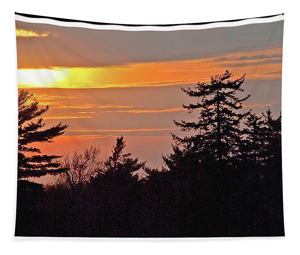 Sunset Tapestry featuring the photograph Sunset With Pine Tree Silhouettes #1 by A Macarthur Gurmankin