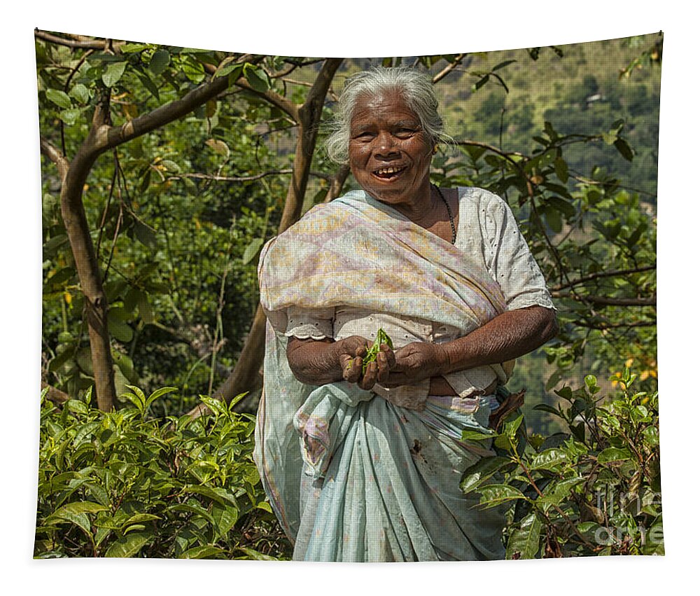 Agriculture Tapestry featuring the photograph Tea picker in Sri Lanka by Patricia Hofmeester