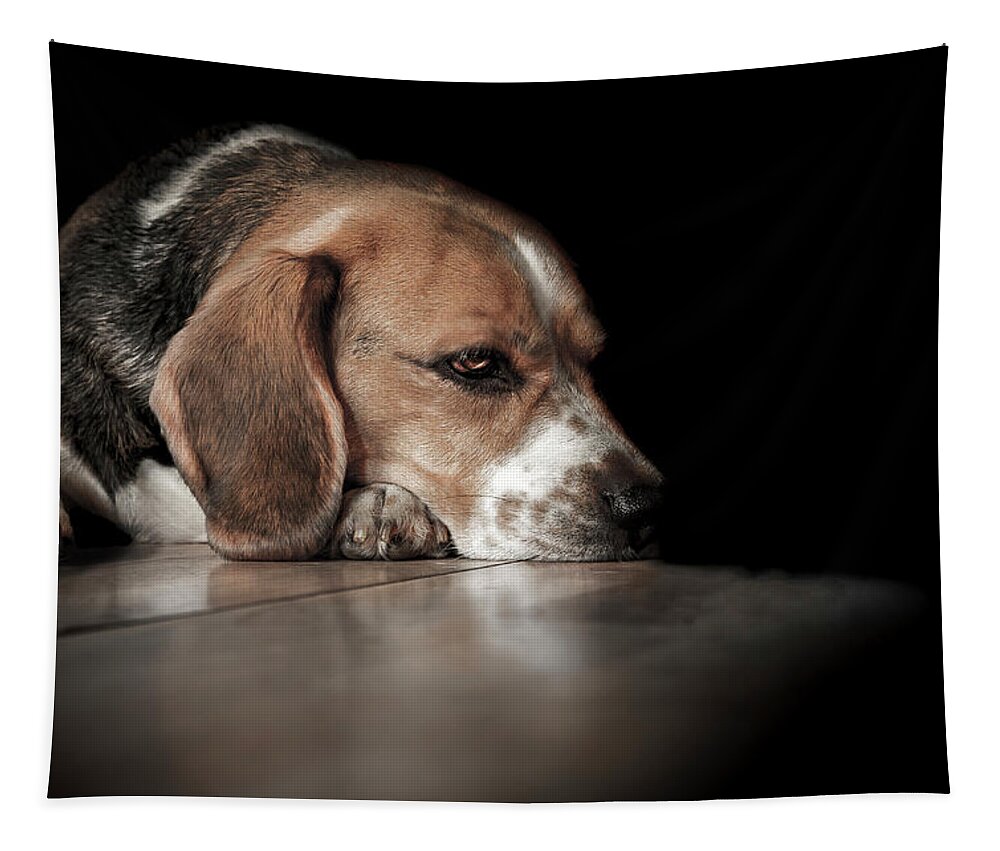Beagle Tapestry featuring the photograph The Day Dreamer #1 by Paul Neville