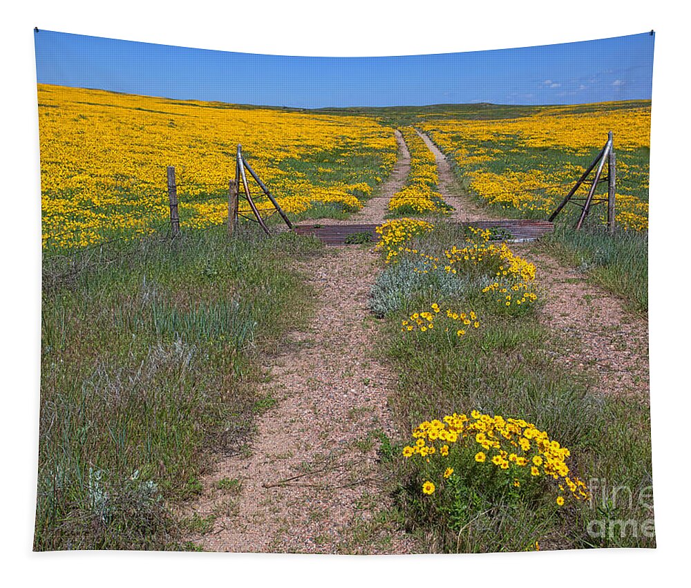 Yellow Wildflowers Tapestry featuring the photograph The Golden Gate by Jim Garrison