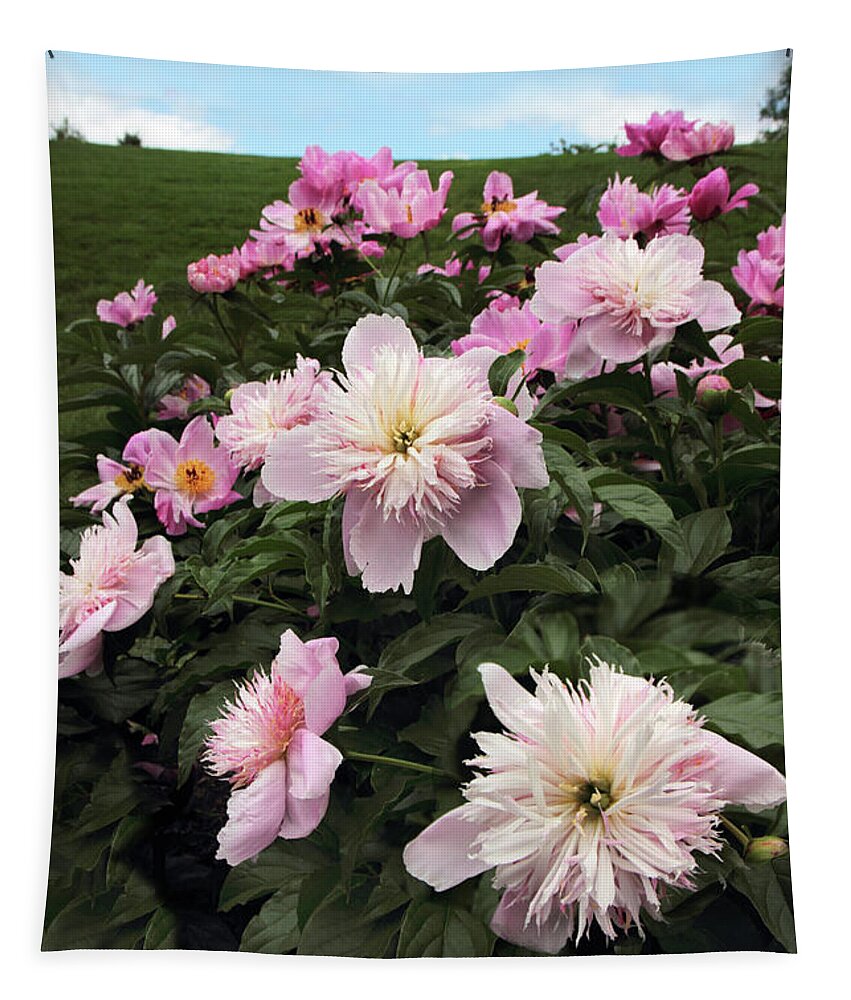 Peony Tapestry featuring the photograph The Hills are Alive #1 by Jessica Jenney