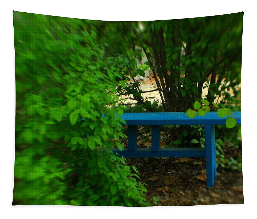 Bench Tapestry featuring the photograph Those special places #2 by Jeff Swan