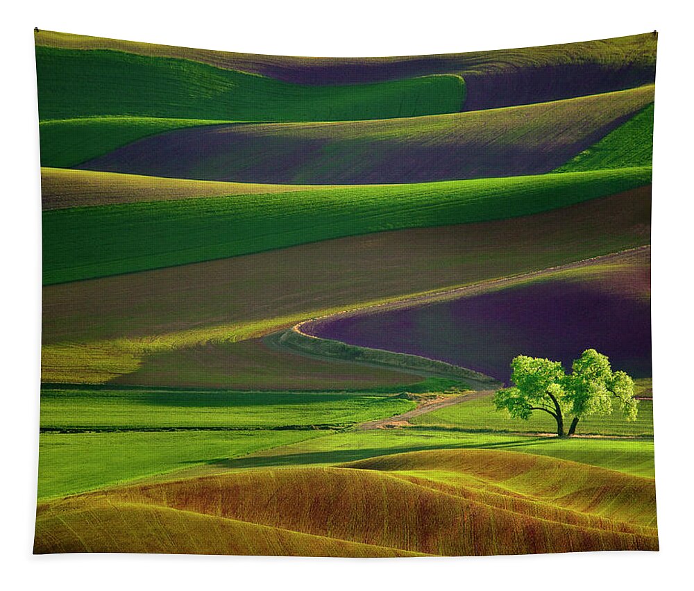 Tree Tapestry featuring the photograph Tree in the Palouse #1 by Lori Grimmett