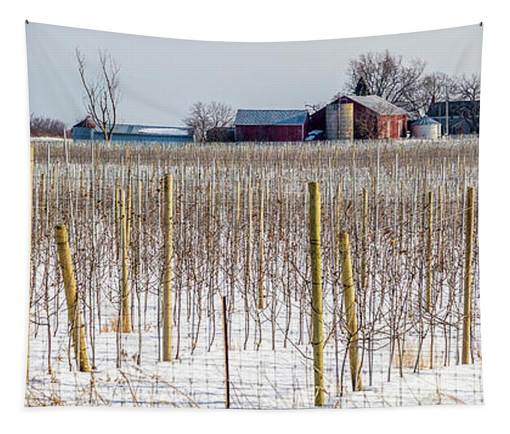 Grapevines Tapestry featuring the photograph Vinyard on Down Road #1 by Roger Monahan