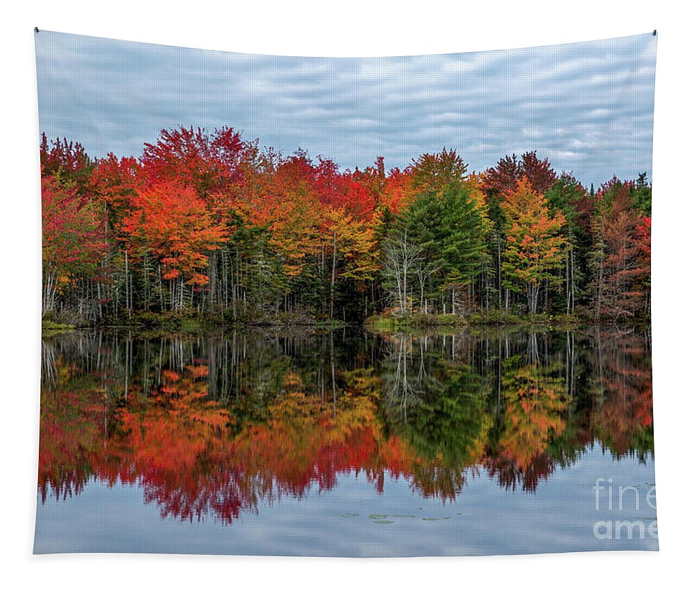Maine Tapestry featuring the photograph Vivid Reflections by Karin Pinkham