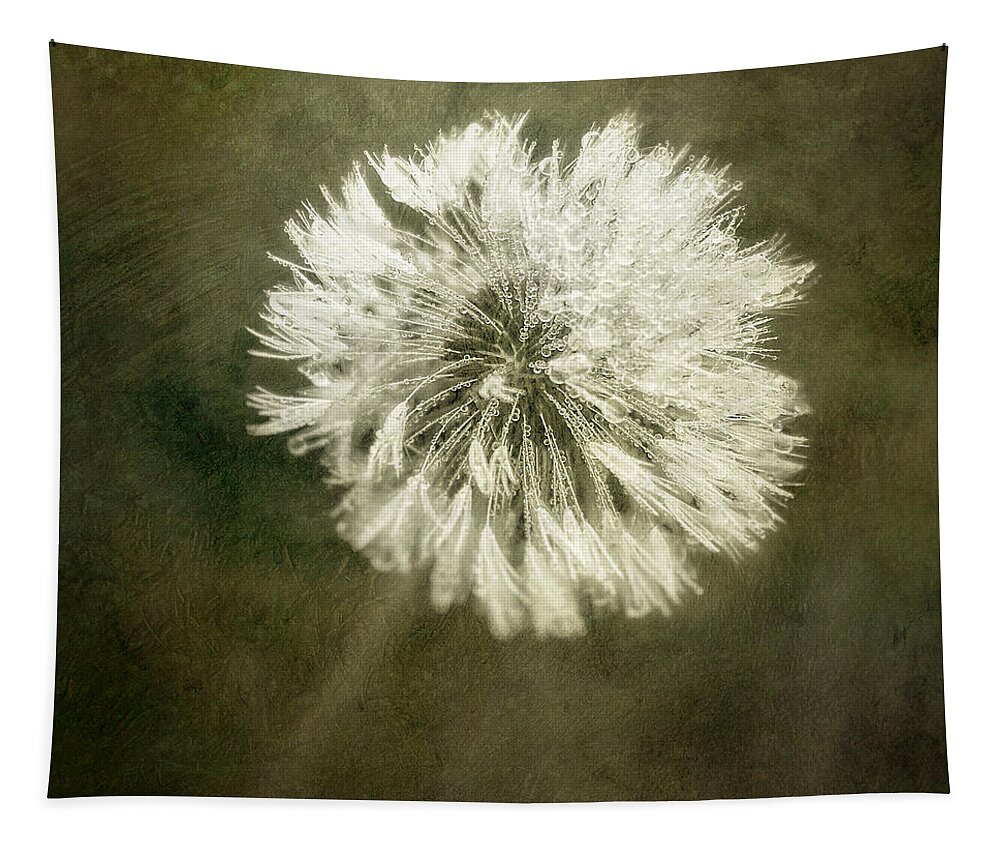 Dandelion Flower Tapestry featuring the photograph Water Drops on Dandelion Flower #2 by Scott Norris