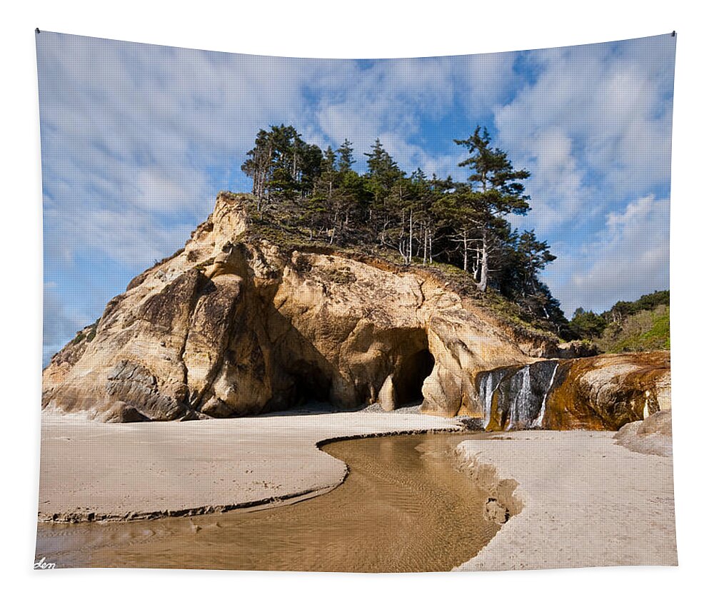 Beach Tapestry featuring the photograph Waterfall Flowing into the Pacific Ocean by Jeff Goulden