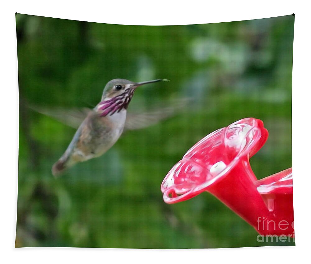 Hummingbird Tapestry featuring the photograph Welcome to the Garden #1 by Carol Groenen