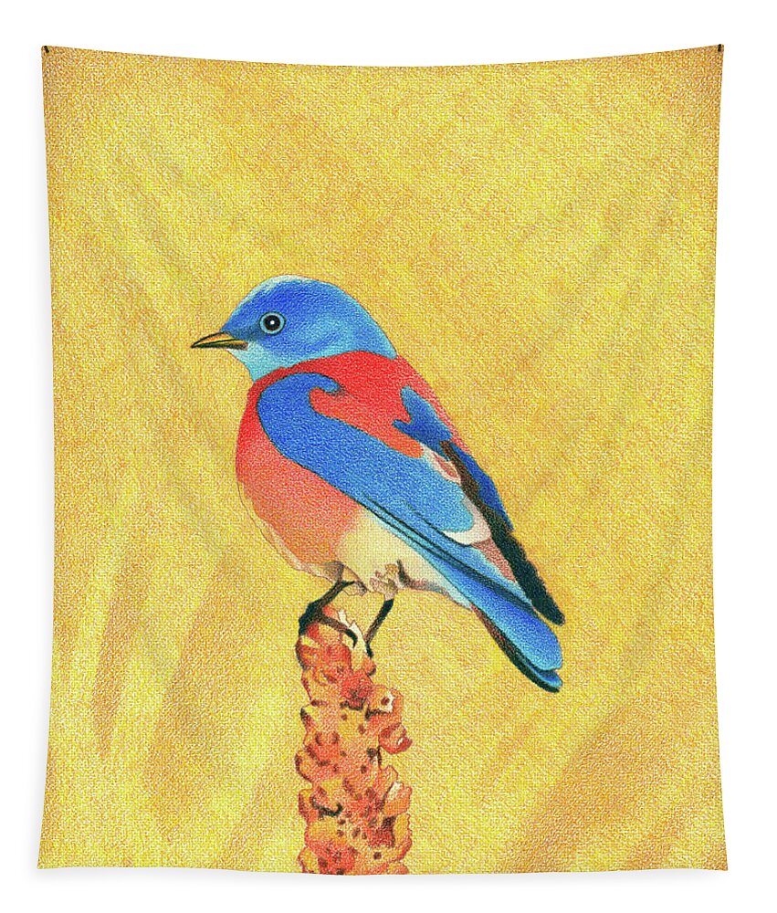 Art Tapestry featuring the drawing Western Bluebird #1 by Dan Miller
