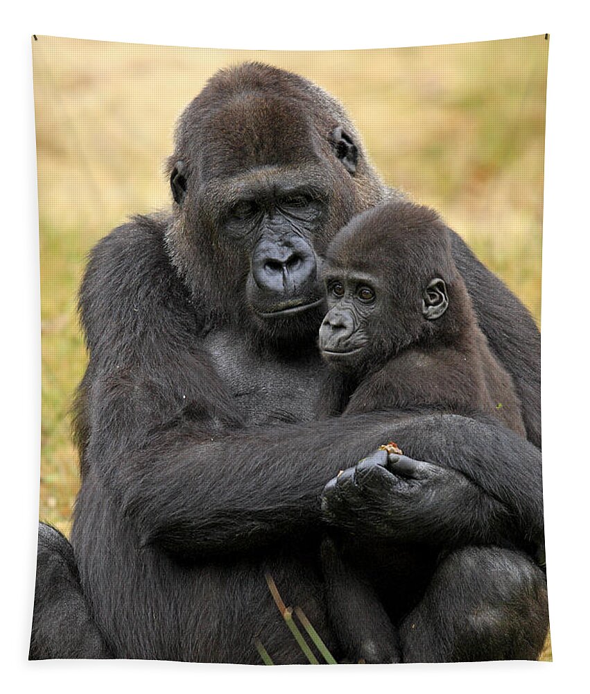 Western Lowland Gorilla Tapestry featuring the photograph Western Gorilla And Young #1 by Jurgen & Christine Sohns/FLPA