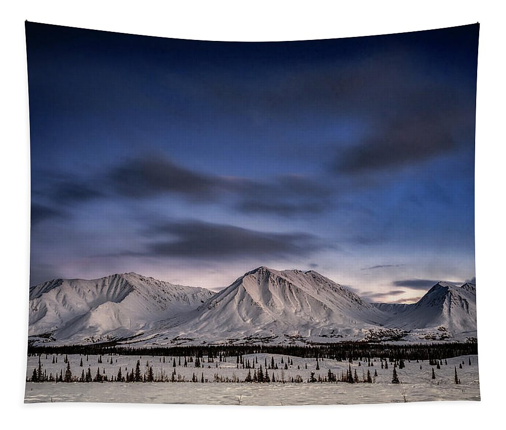 Alaska Tapestry featuring the photograph Winter Wonderland #1 by Robert Fawcett