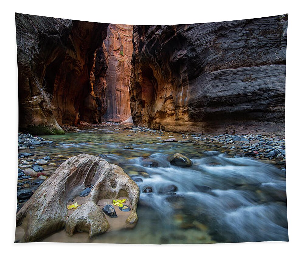 Utah Tapestry featuring the photograph Zion Narrows by Wesley Aston