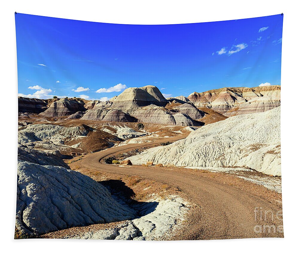 Arizona Tapestry featuring the photograph Arizona Petrified Forest #10 by Raul Rodriguez