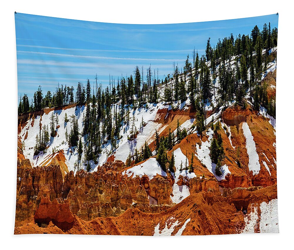 Agua Canyon Tapestry featuring the photograph Bryce Canyon Utah #10 by Raul Rodriguez