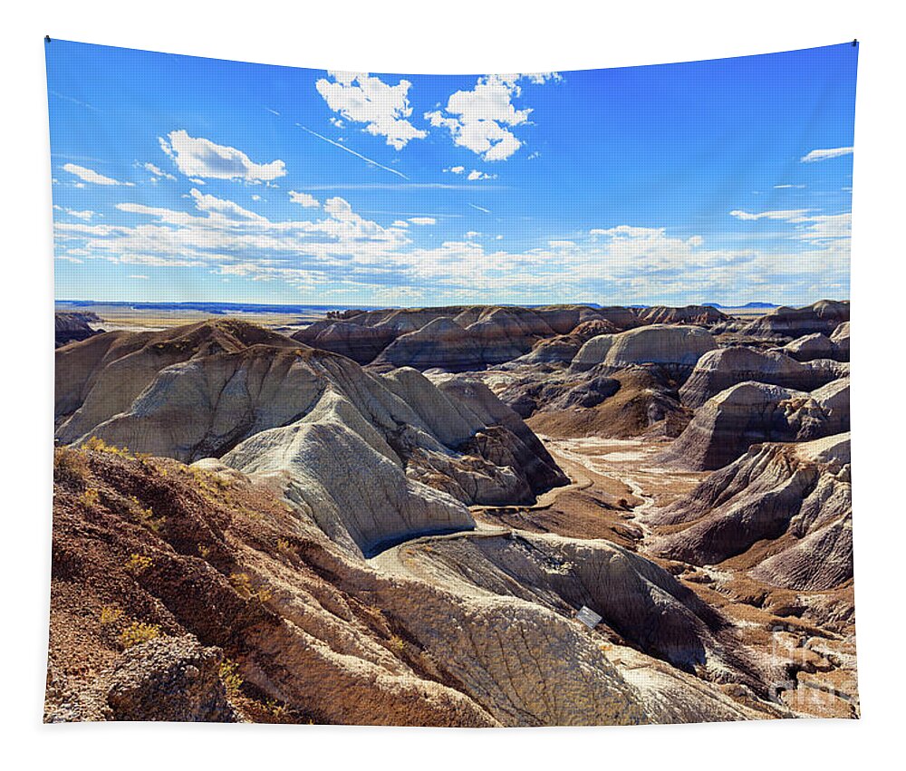 Arizona Tapestry featuring the photograph Arizona Petrified Forest #11 by Raul Rodriguez