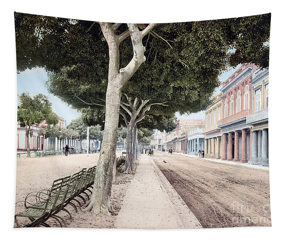 1890s Tapestry featuring the photograph CUBA, HAVANA, c1900. #11 by Granger