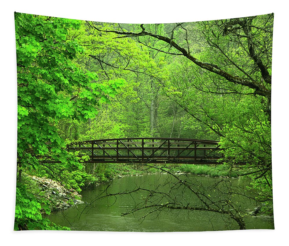 Jacobsburg State Park Pa Tapestry featuring the photograph Jacobsburg State Park PA by Raymond Salani III