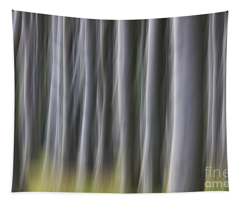Abstract Tapestry featuring the photograph 150403p263 by Arterra Picture Library